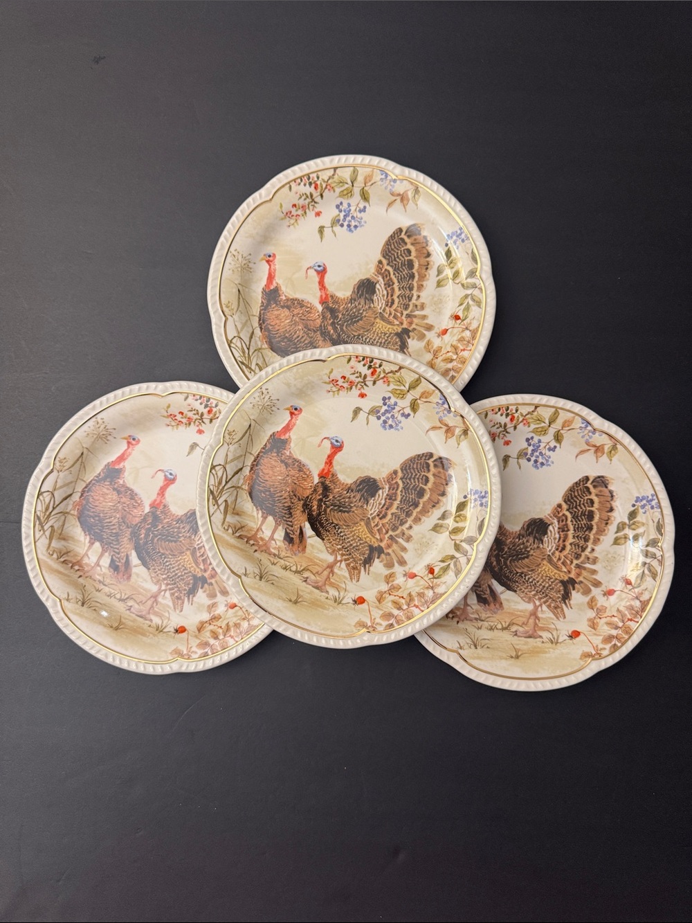 NWOT 4pc Potter's Studio Scalloped Stoneware  Turkey Salad Plates - 8.25" - Picture 5 of 10